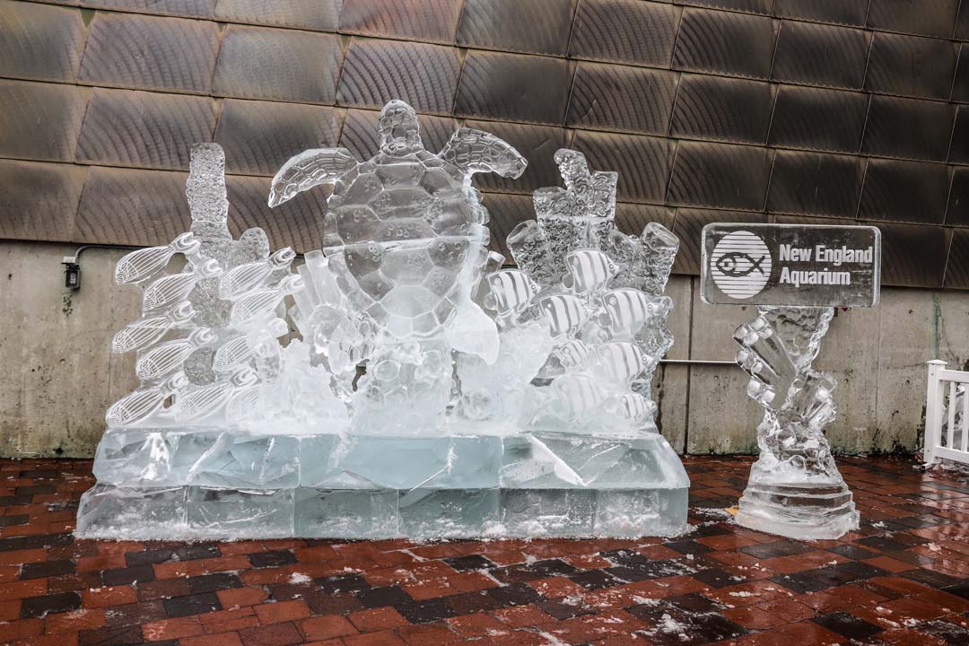 An ice sculpture depicting a sea turtle and coral