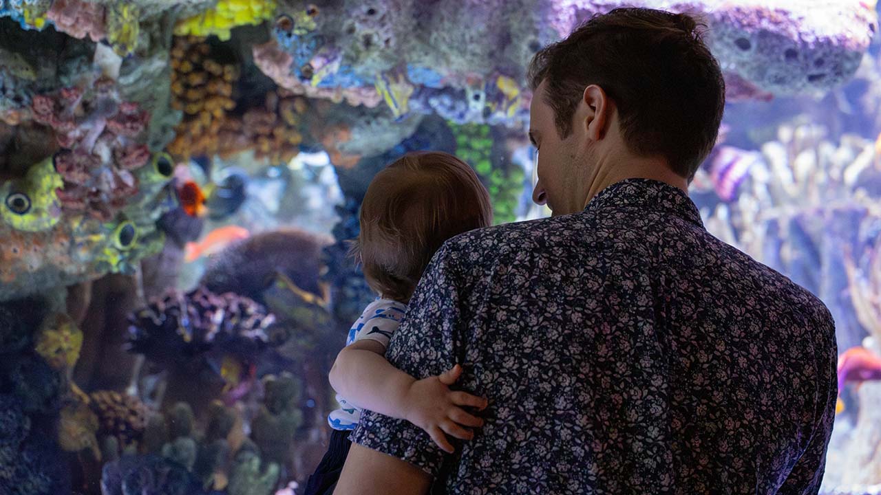 A father and son in front of a large aquarium tank