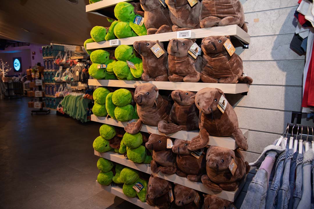 A retail shelf with plush sea turtles and sea lions