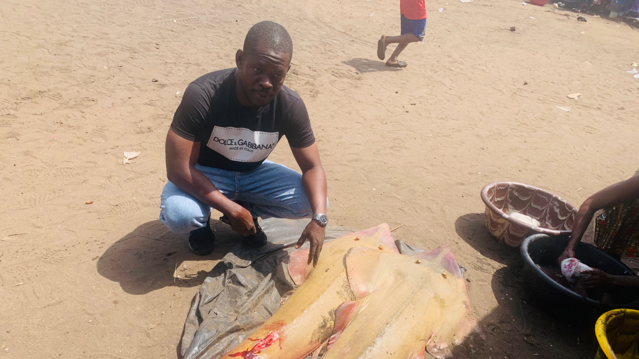 Photo of a research at a fishing landing site