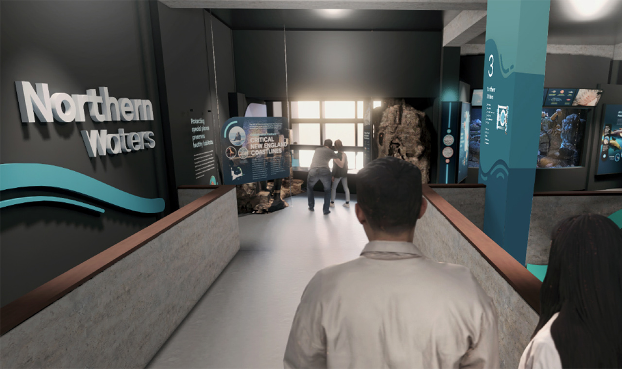 Rendering of upcoming changes to the Northern Waters gallery at the New England Aquarium