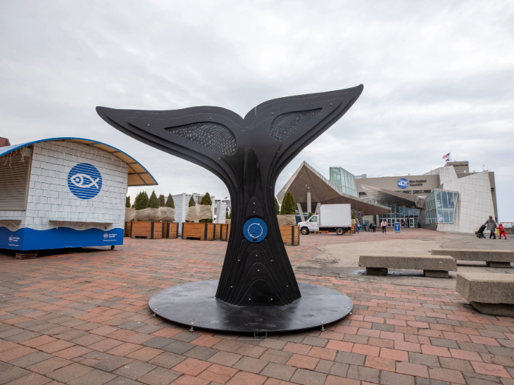 A 96-inch-tall public art installation of a North Atlantic right whale’s tail