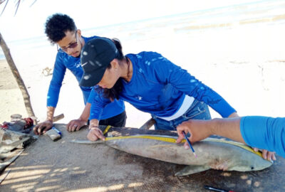 Turning Doubt into Purpose Through ilili and the Marine Conservation Action Fund