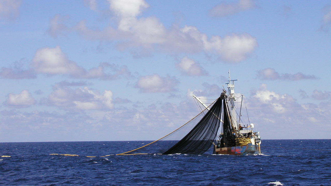 A fishing boat with a trawler net in the ocean