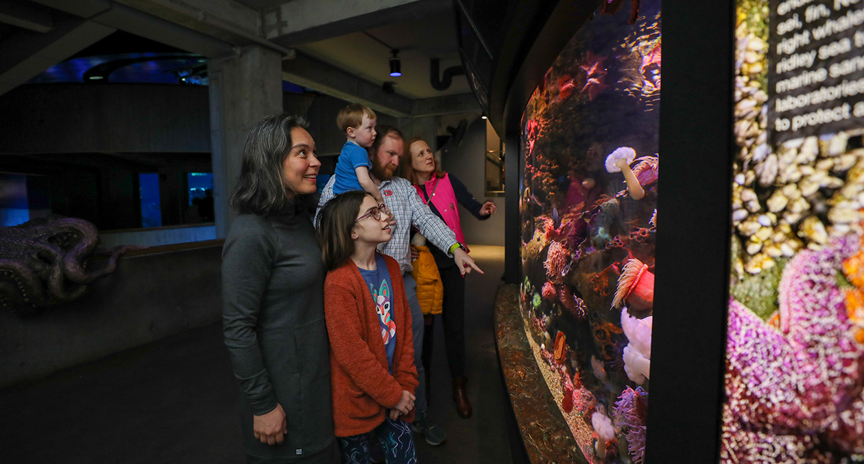A group of people observing a vibrant aquarium display with corals.