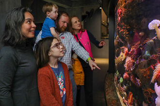 A group of people observing a vibrant aquarium display with corals.