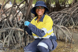 A person kneeling among mangroves