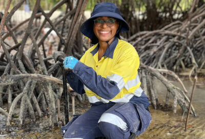 A person kneeling among mangroves