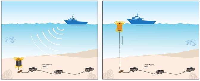 Illustration showing how a signal from the fishing boat raises a buoy attached to gear at the sea floor. 