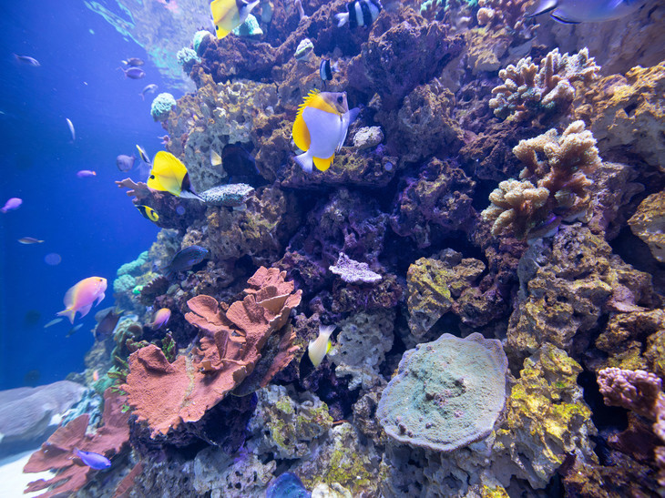 Sensory-friendly hours