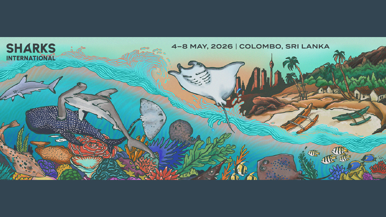 A poster for the Sharks International Conference showing a vibrant illustration of marine life including a manta ray