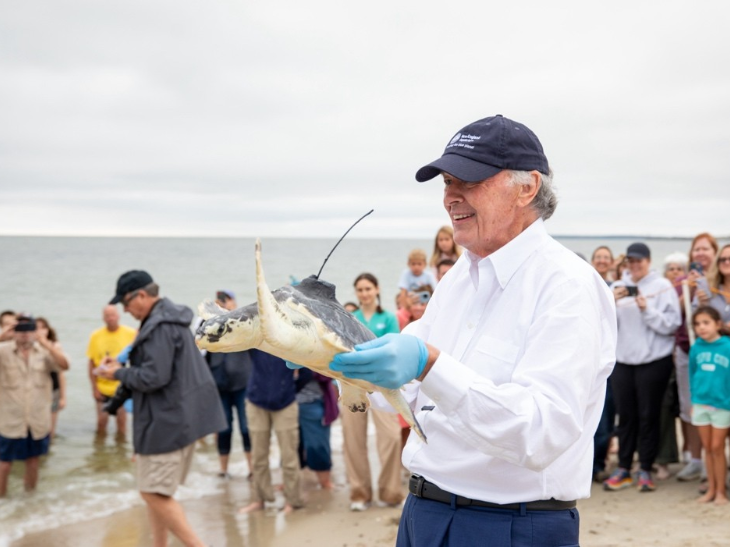 Senator Edward J. Markey at a sea turtle release off Cape Cod.