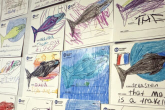 Children's whale artwork displayed on a wall from the New England Aquarium program, featuring colorful and varied drawings