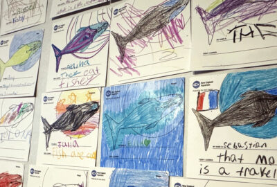 Children's whale artwork displayed on a wall from the New England Aquarium program, featuring colorful and varied drawings