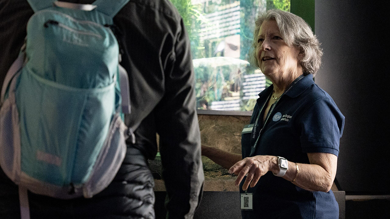 A person in an aquarium talking with a visitor in front of an exhibit