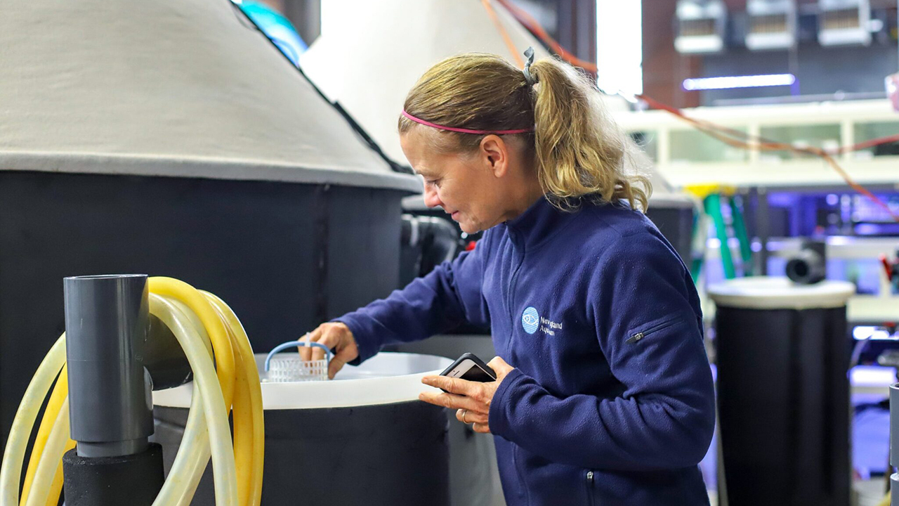 A person looking over a tank