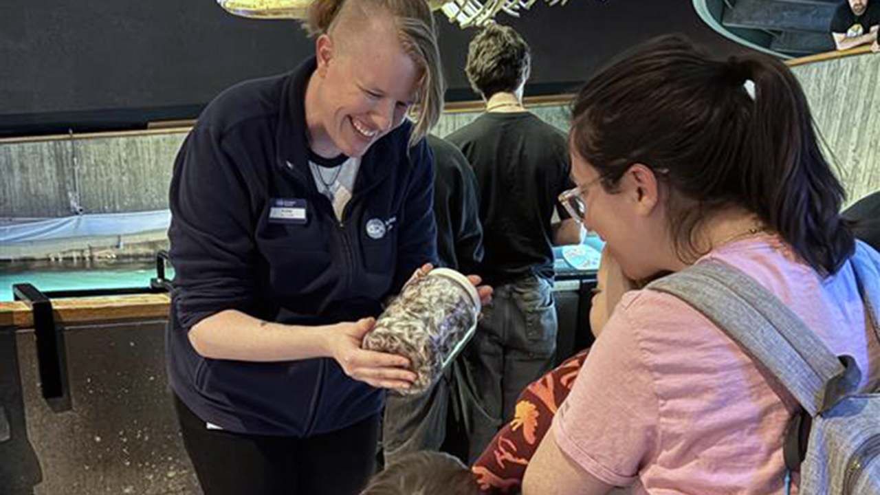 An educator showing visitors a jar of penguin feathers