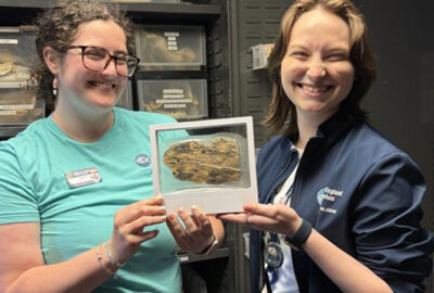 5 Biological Artifacts That Bring the Ocean Closer