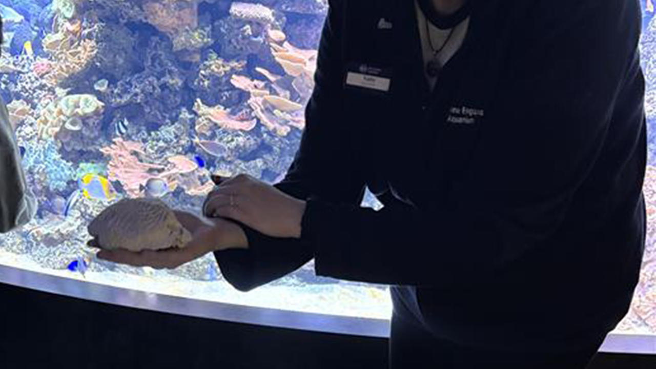 An educator holding a piece of brain coral