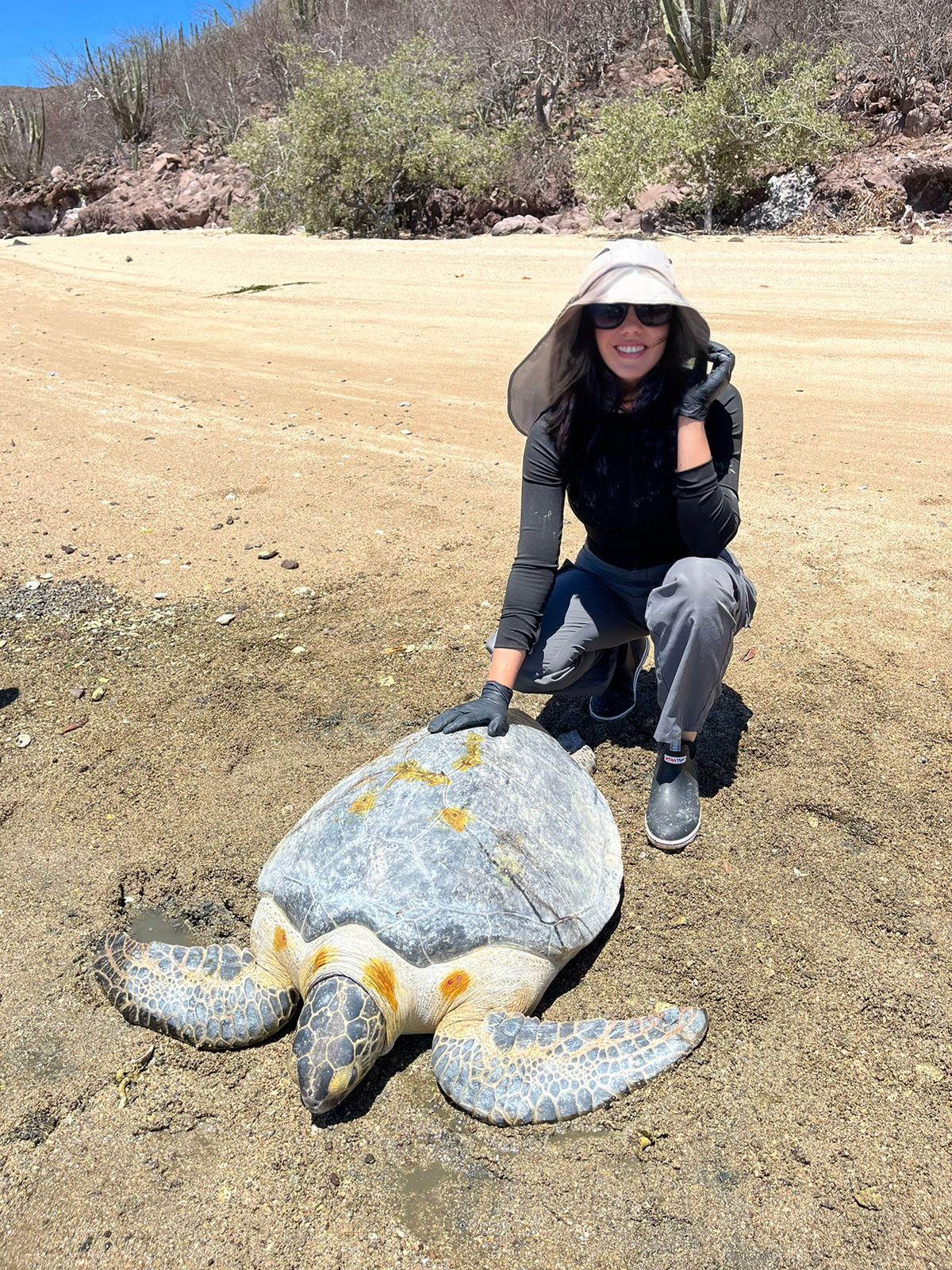 Alejandra beside a sea turtle on the beach