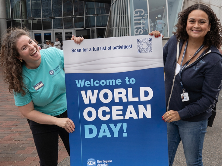 Aquarium staff kicking off World Ocean Day in 2025