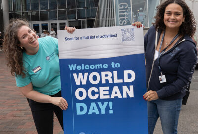 Join the New England Aquarium for World Ocean Day 2026