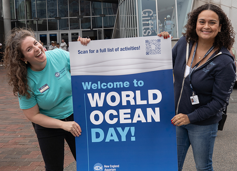 Join the New England Aquarium for World Ocean Day 2026