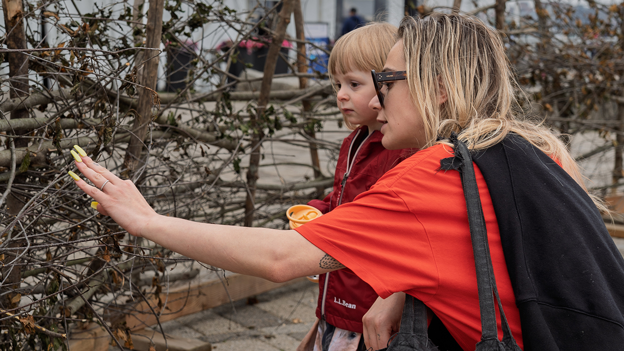 A parent and child interacting with a fish weir constructed of branches