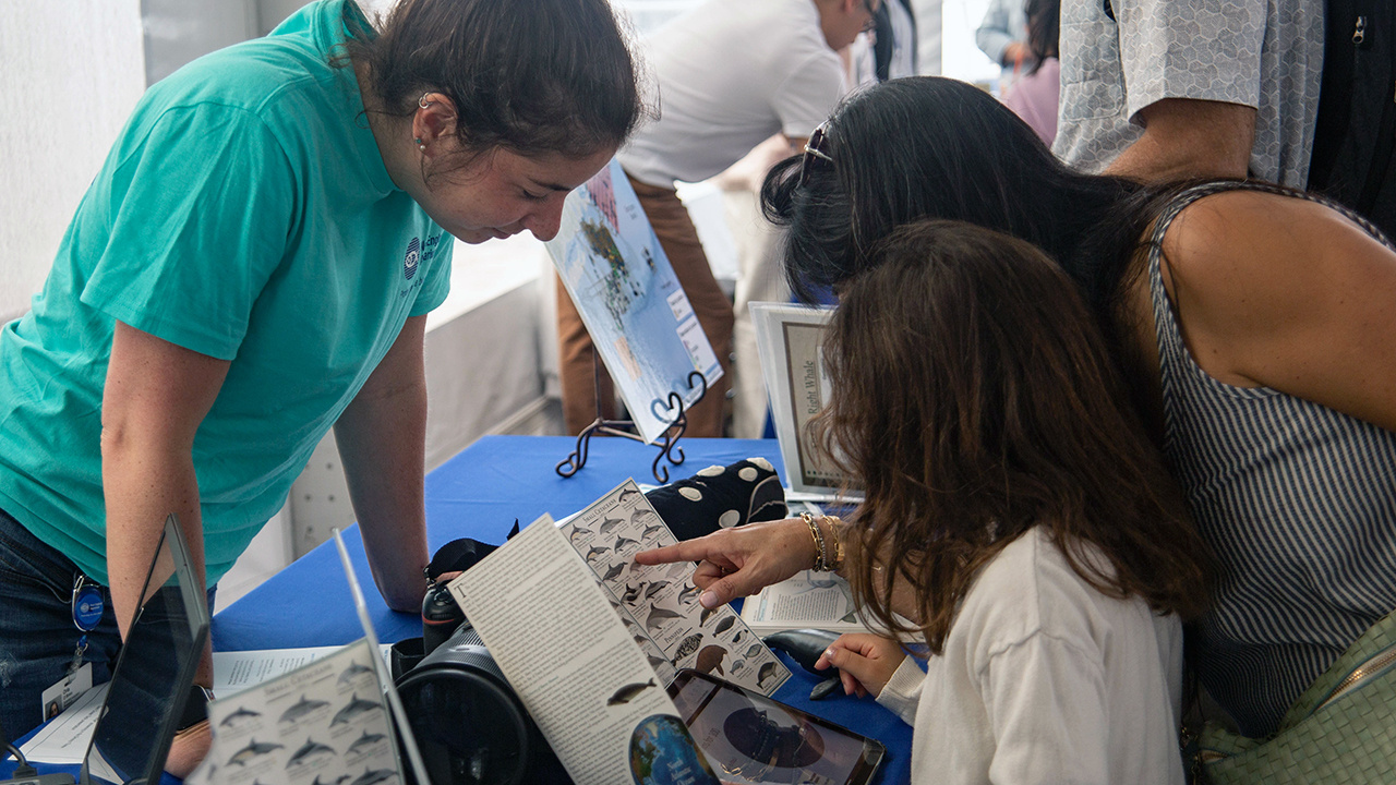 People examining a book about whales at an informational event