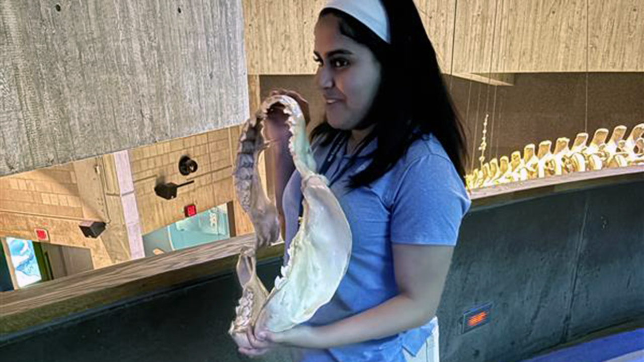 An educator holding a shark jaw