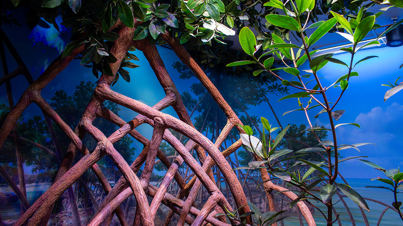 Stylized representation of mangrove roots intertwining with lush green leaves against a coastal blue sky background