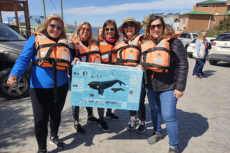 Using Citizen Science to ID Southern Right Whales in Patagonia