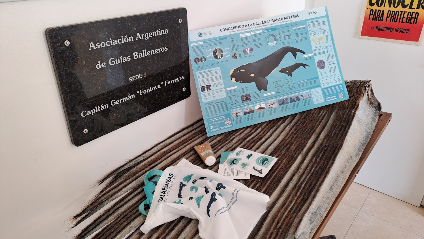 El conocimiento científico generado por investigadores del ICB y la comunidad local se utiliza para desarrollar materiales de divulgación que se exhiben en las oficinas y embarcaciones de avistaje de ballenas.