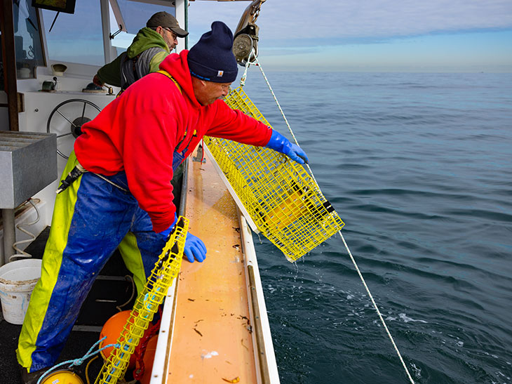 Fishers use on-demand gear to avoid entanglement