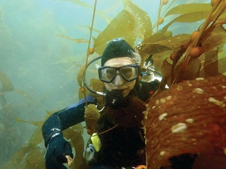 The Forest of the Sea: A Conversation with David Helvarg