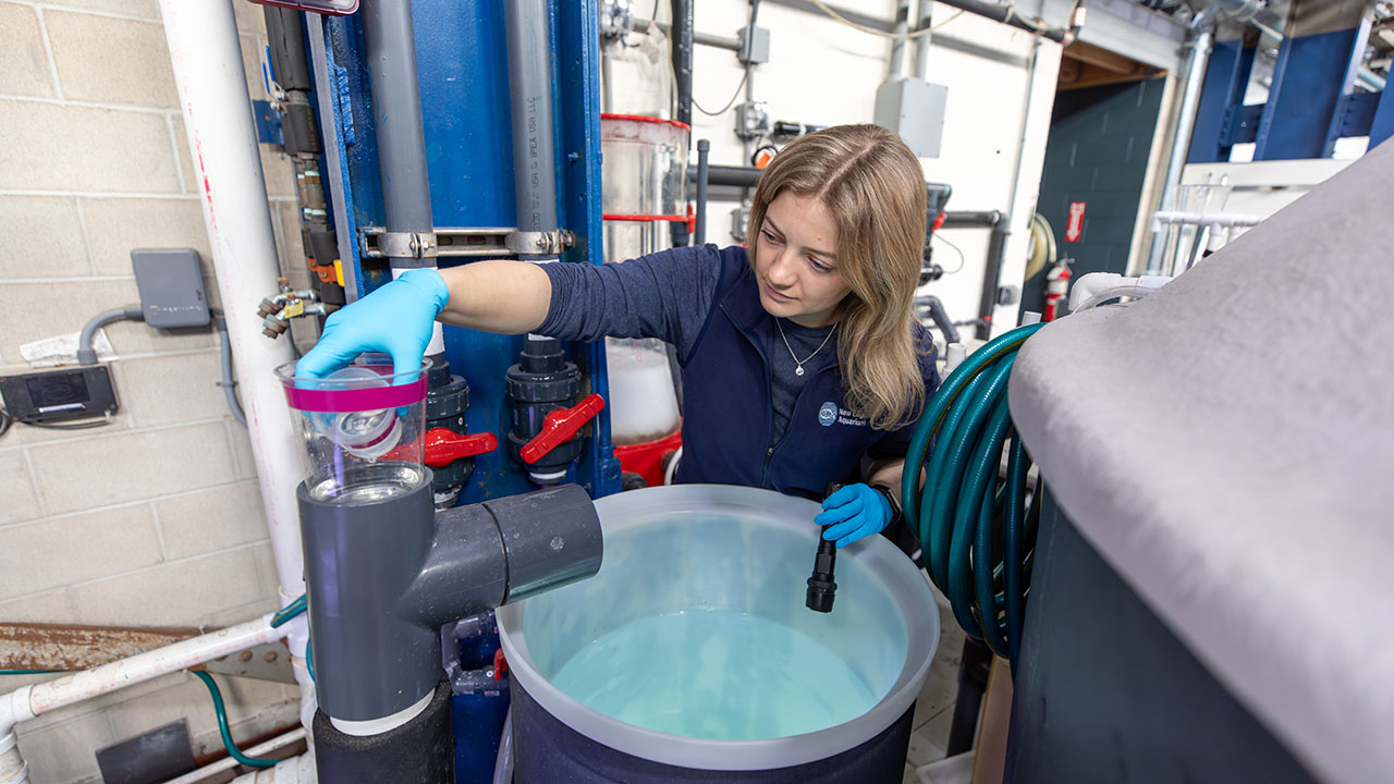 A woman in blue gloves inspects a jar above a round container of clear liquid in a laboratory filled with pipes and valves