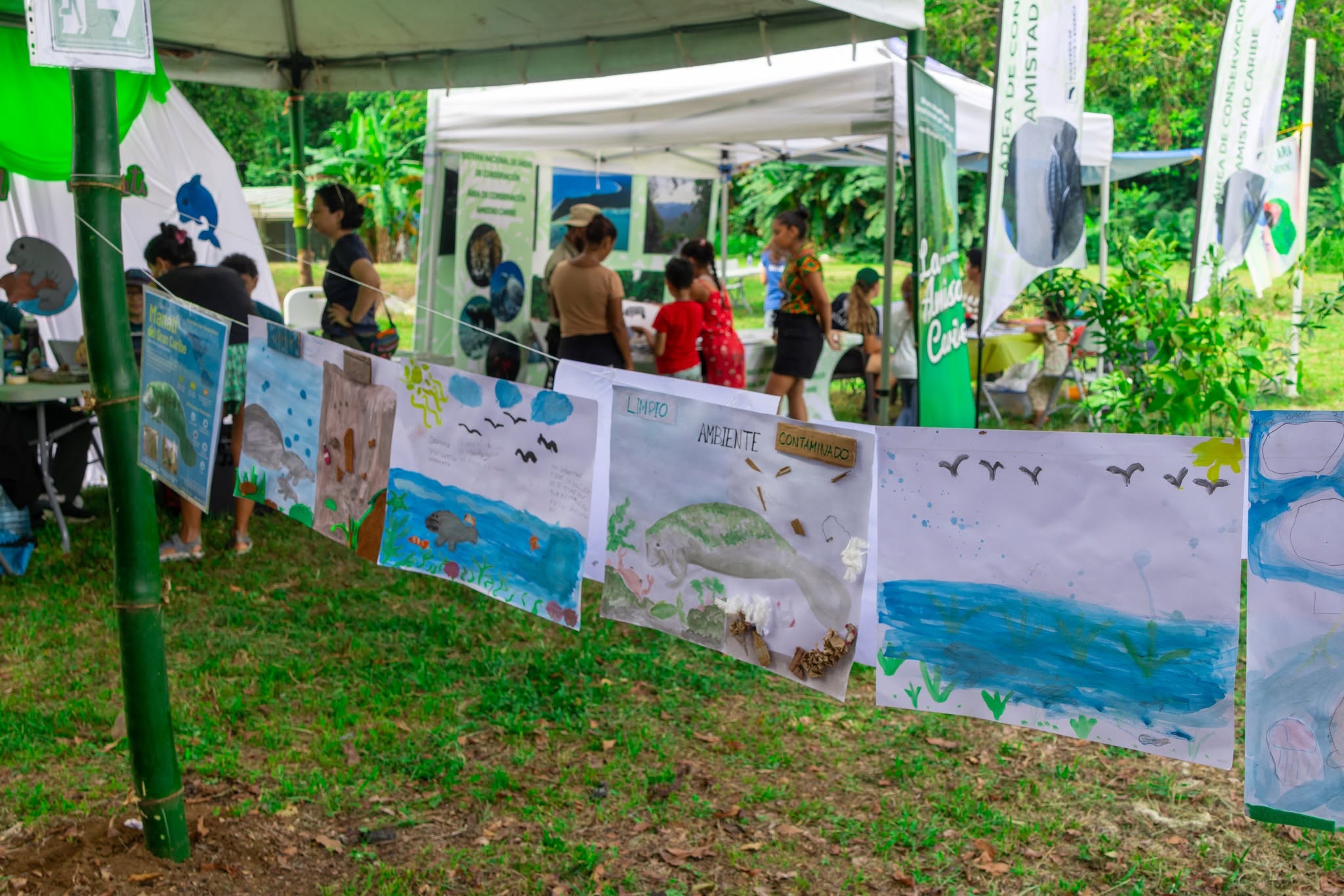 Children drawings of manatees displayed hanging on a line outside at the Manatee Festival
