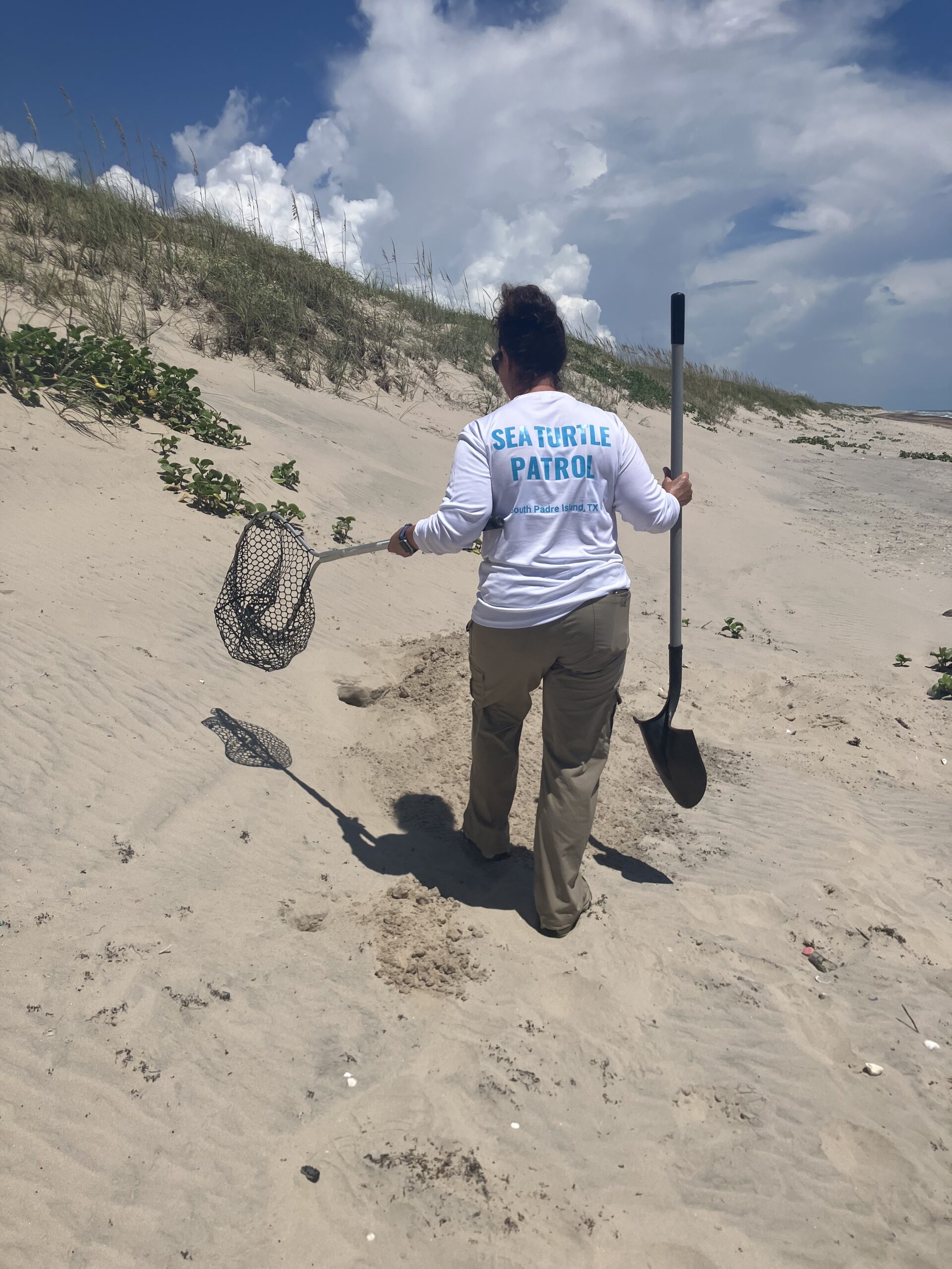 Protecting Kemp???s Ridley Sea Turtles from New England to Texas