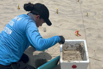 Person in blue shirt kneeling beside an open foam container of sand at a marked sandy field site.