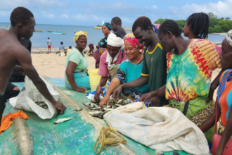 Beyond the Boat: Gendered Participation in Artisanal Billfish Fisheries on Kenya’s Coast