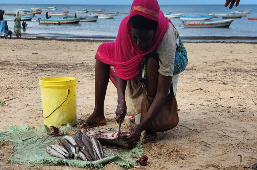A person gutting fish on a beach
