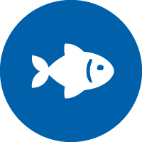 Animal Collection and Feed Choice