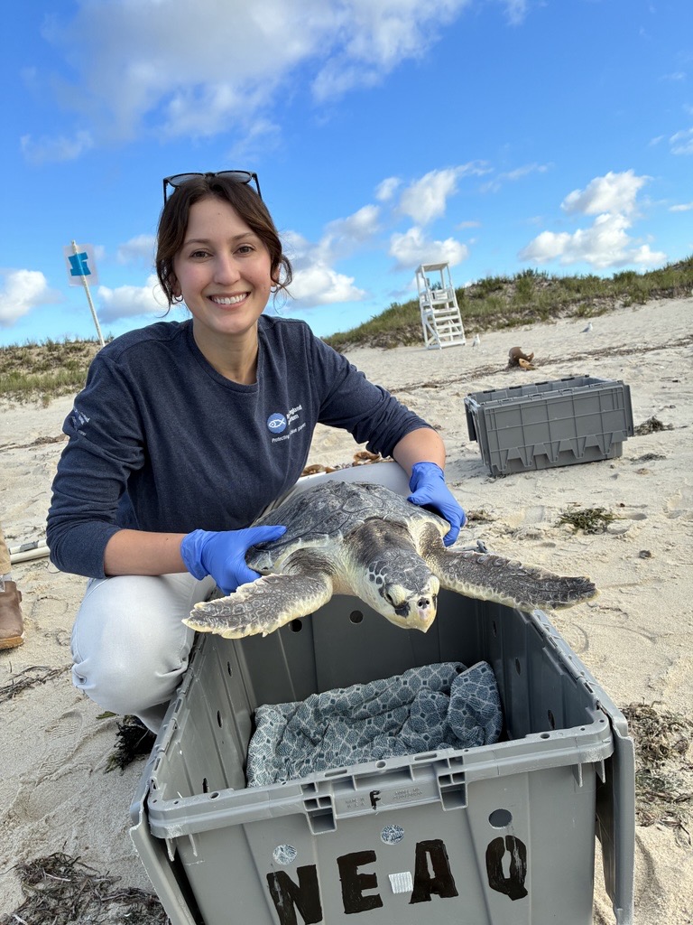 A smiling person holding a sea turtle on a beach
